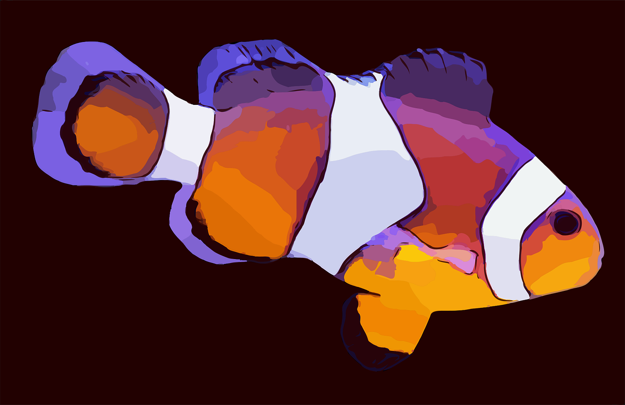 a close up of a clown fish on a black background, a digital painting, abstract illusionism, some purple and orange, flat color, amoled, path traced