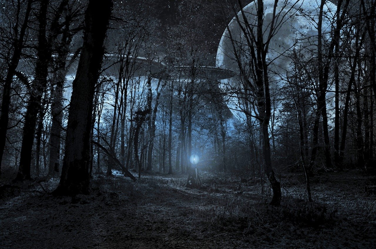 an alien spaceship flying over a forest at night, surrealism, desolate gloomy planet, in the woods at night, populated with aliens and people, wide shot photograph