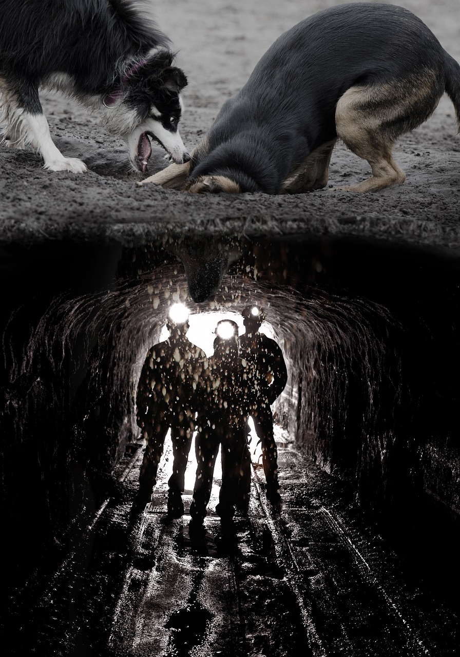 a group of people standing in front of a dog, by Anato Finnstark, shutterstock, conceptual art, crawling in a wet sewer pipe, tactical team in hell, high contrast of light and dark, husky