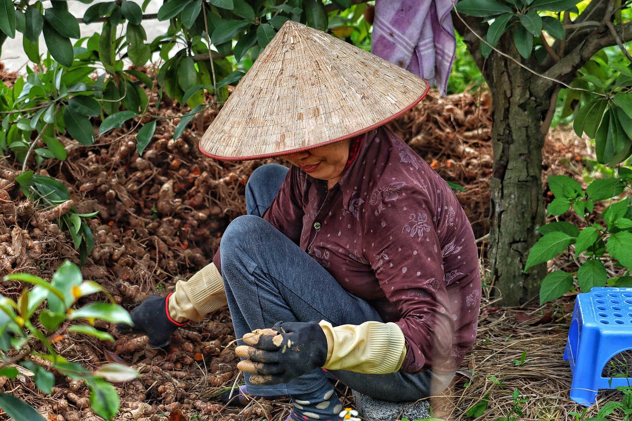 a person sitting on the ground with a hat on, a photo, inspired by Steve McCurry, shutterstock, process art, japanesse farmer, vietnamese woman, face covered in dirt, cherry