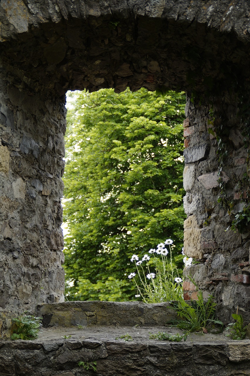 a cat sitting on top of a stone wall, a picture, by Edward Clark, pexels, romanesque, overgrown trees, portal opening, photo of a beautiful window, green wall