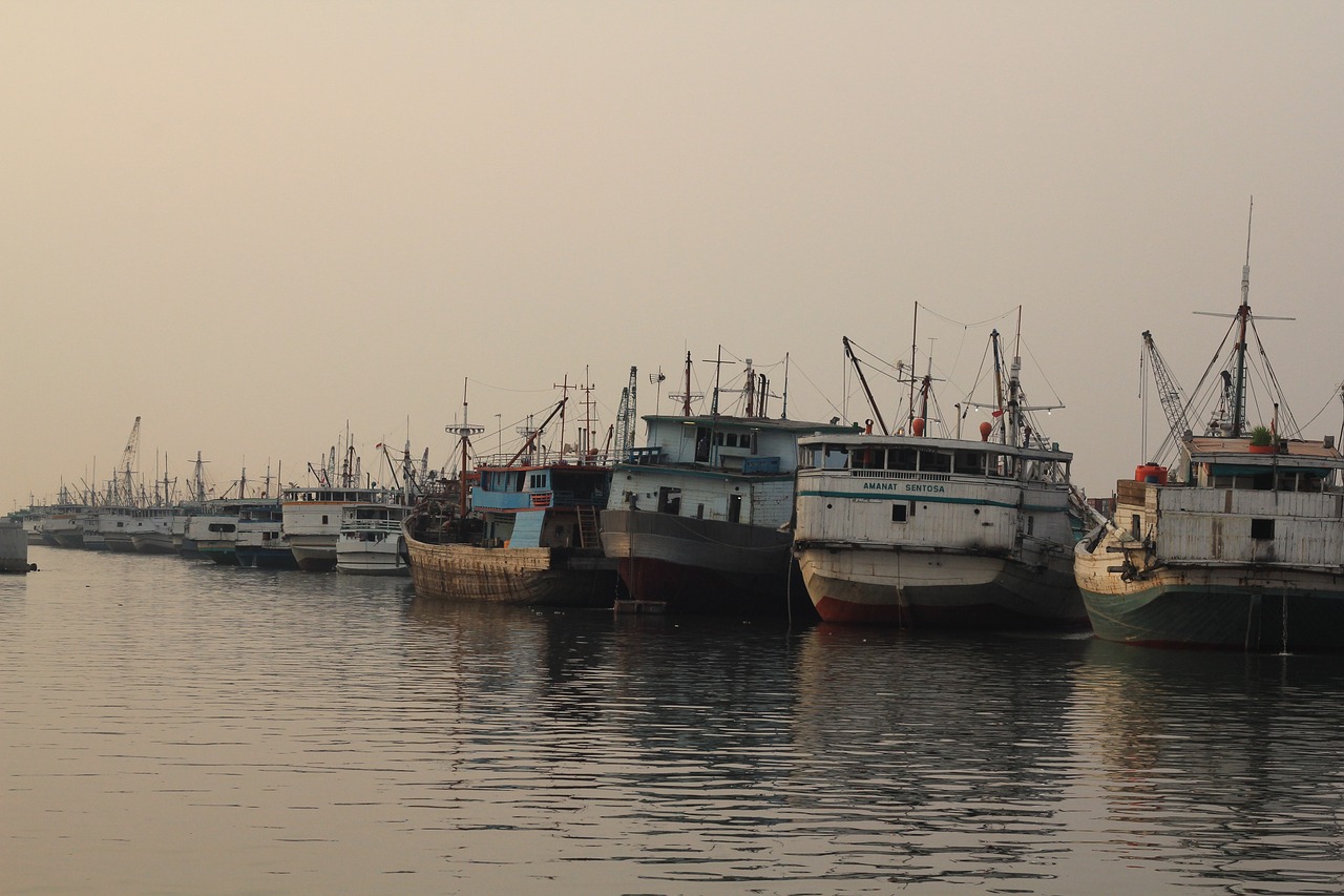 a number of boats in a body of water, dau-al-set, in the early morning, port city, left profile, jia ruan