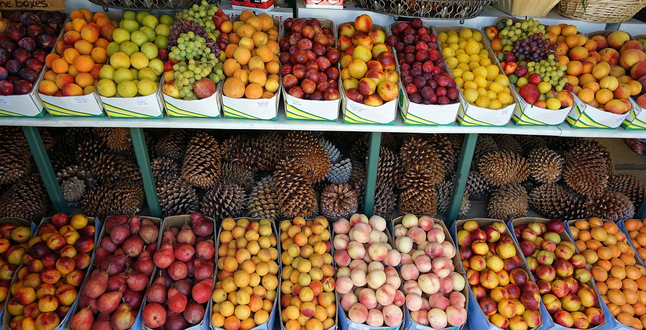 a display case filled with lots of different types of fruit, by Manuel Ortiz de Zarate, marketing photo, fruit trees, a cozy, colored fruit stand