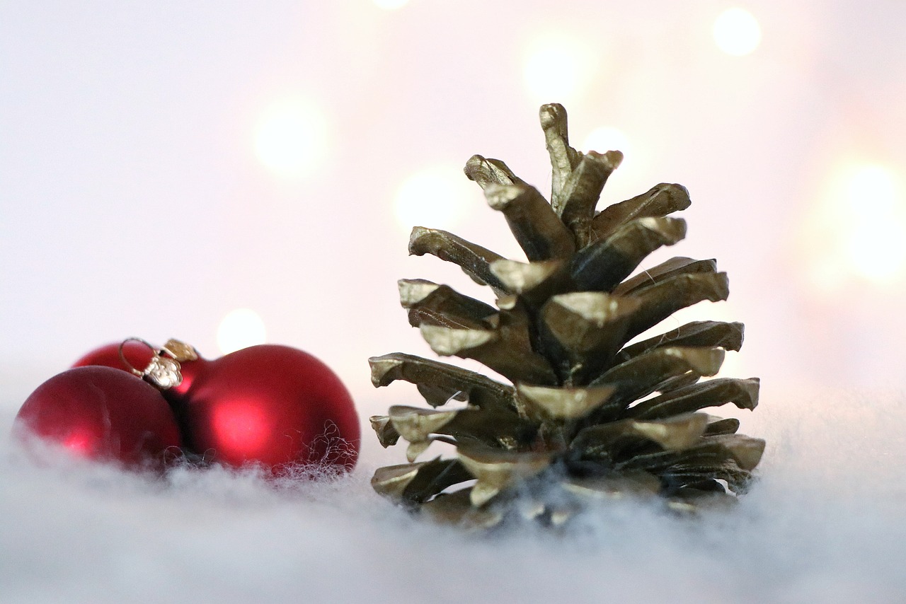 a pine cone sitting next to a red ornament, a picture, octane render h 1024, gold and silver shapes, only snow in the background, british stopmotion