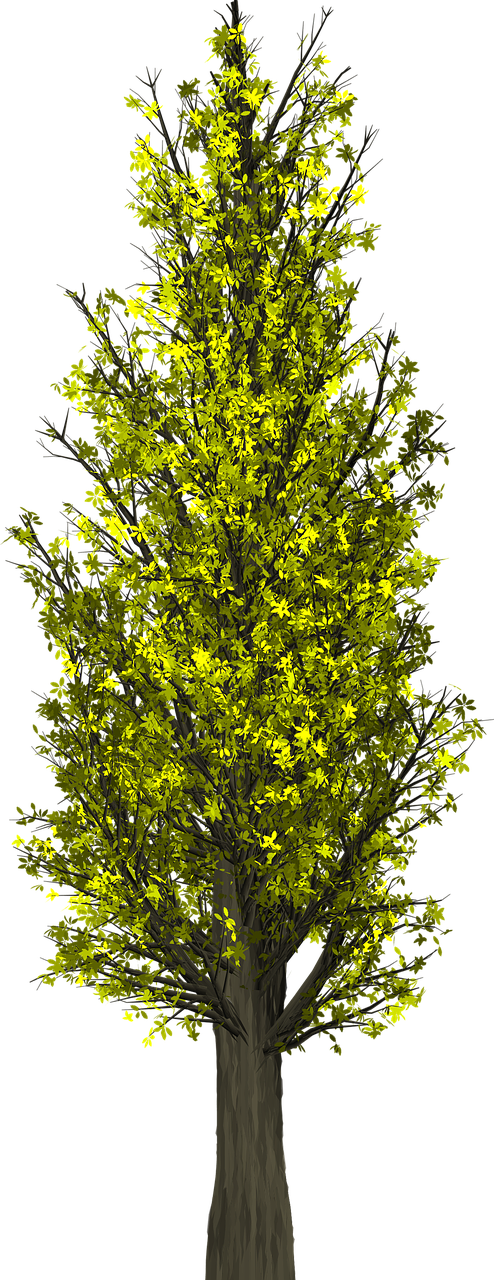 a tree with green leaves on a black background, a raytraced image, trending on zbrush central, conceptual art, full of yellow flowers flowers, high-resolution photograph, dense thickets on each side, yellow infrared