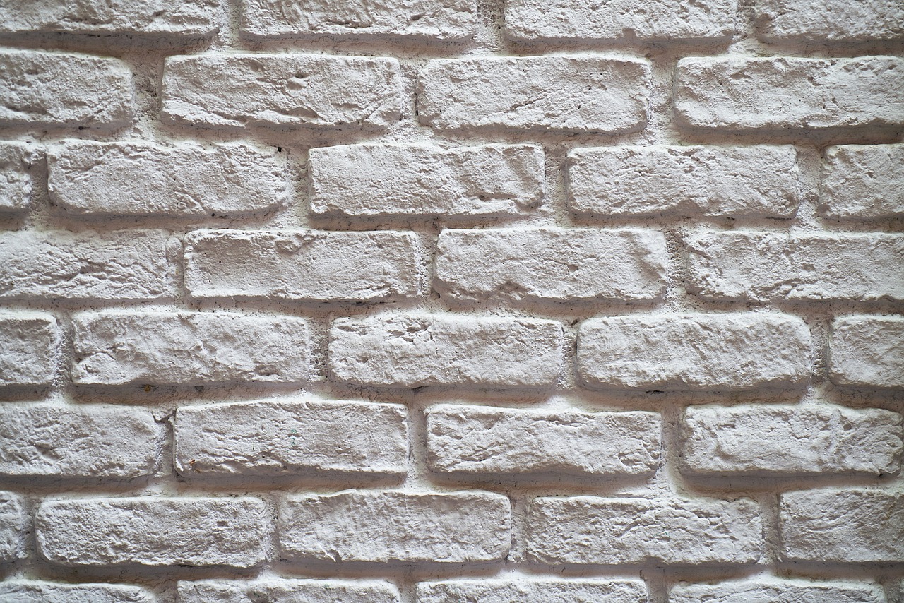 a close up of a white brick wall, a stock photo, by Jan Kupecký, shutterstock, chalk white skin, backlite, close-up product photo, high detail product photo