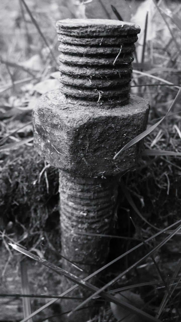 a black and white photo of a bolt in the grass, a macro photograph, concrete art, mud and rusty pipes, concrete pillars, screws, farming