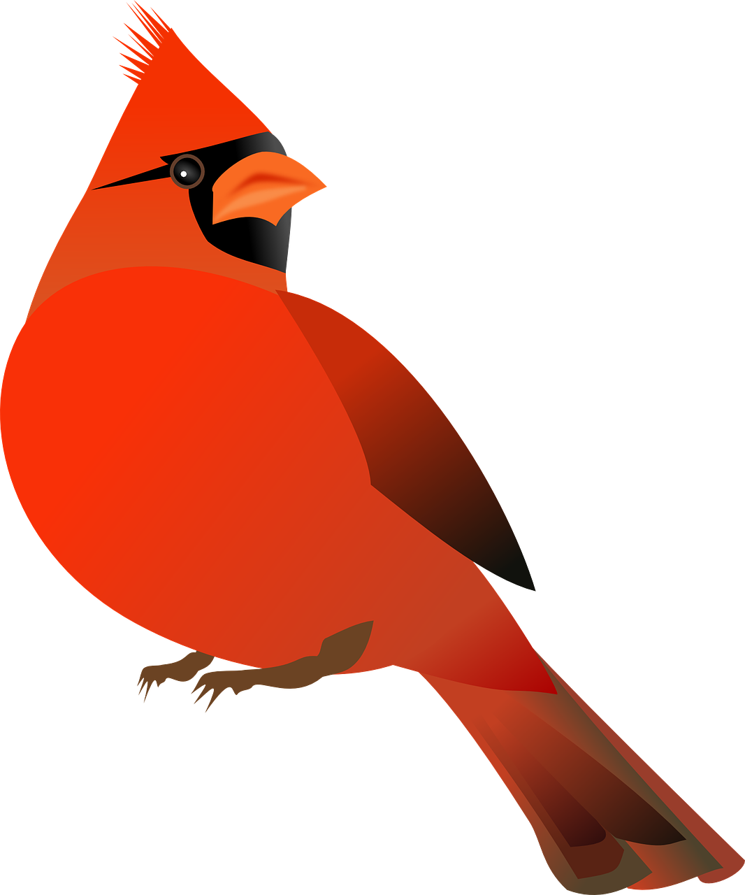 a red bird sitting on top of a tree branch, inspired by Paul Bird, digital art, side view profile centered, red on black, clip art, rounded beak