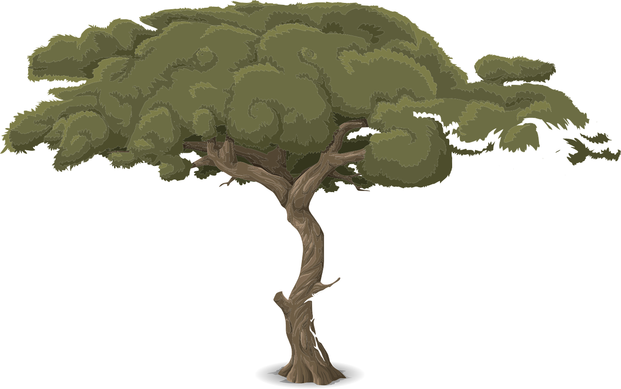 a tree with green leaves on a black background, concept art, inspired by Edgar Schofield Baum, the curse of monkey island, savana background, here is one olive, uzumaki