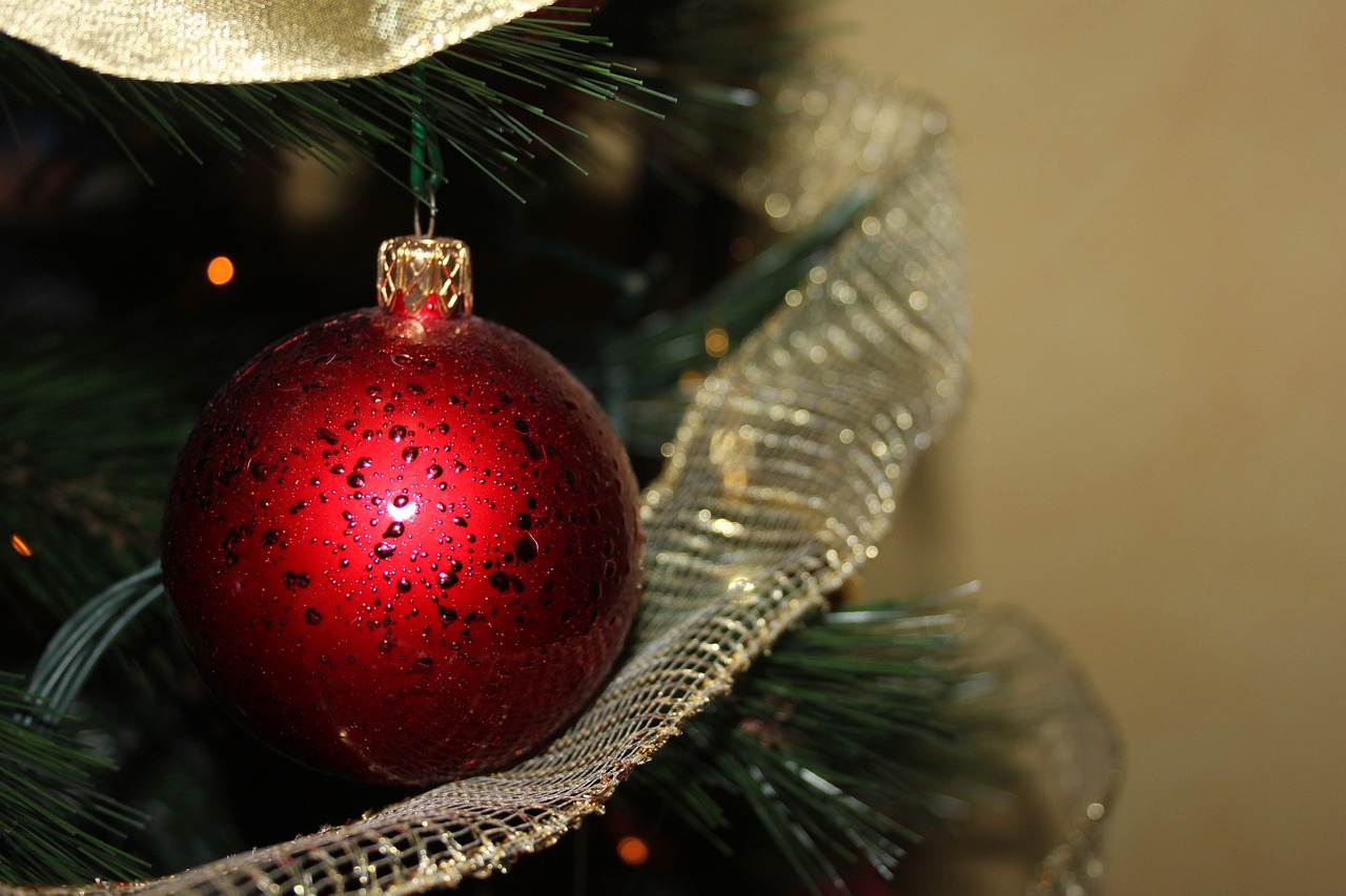 a red ornament hanging from a christmas tree, a picture, pexels, realism, tony roberts, red mesh in the facede, wikimedia, alina ivanchenko