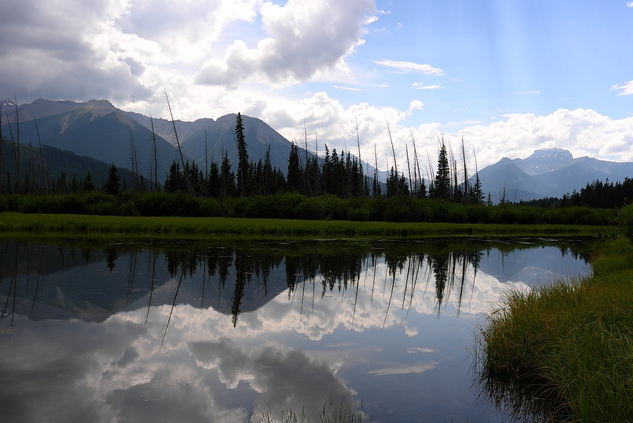 a body of water with mountains in the background, flickr, land art, reflections. shady, british columbia, god\'s creation, spruce trees on the sides