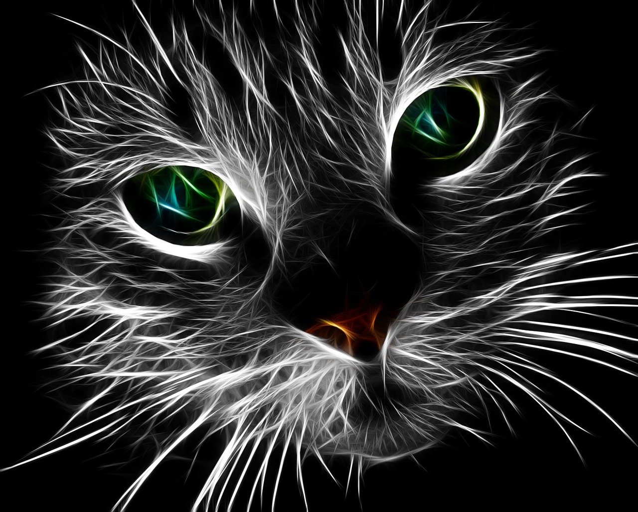 a close up of a cat's face with green eyes, a digital rendering, furry art, black and white vector art, glowing with silver light, beautiful neon cats, tufty whiskers