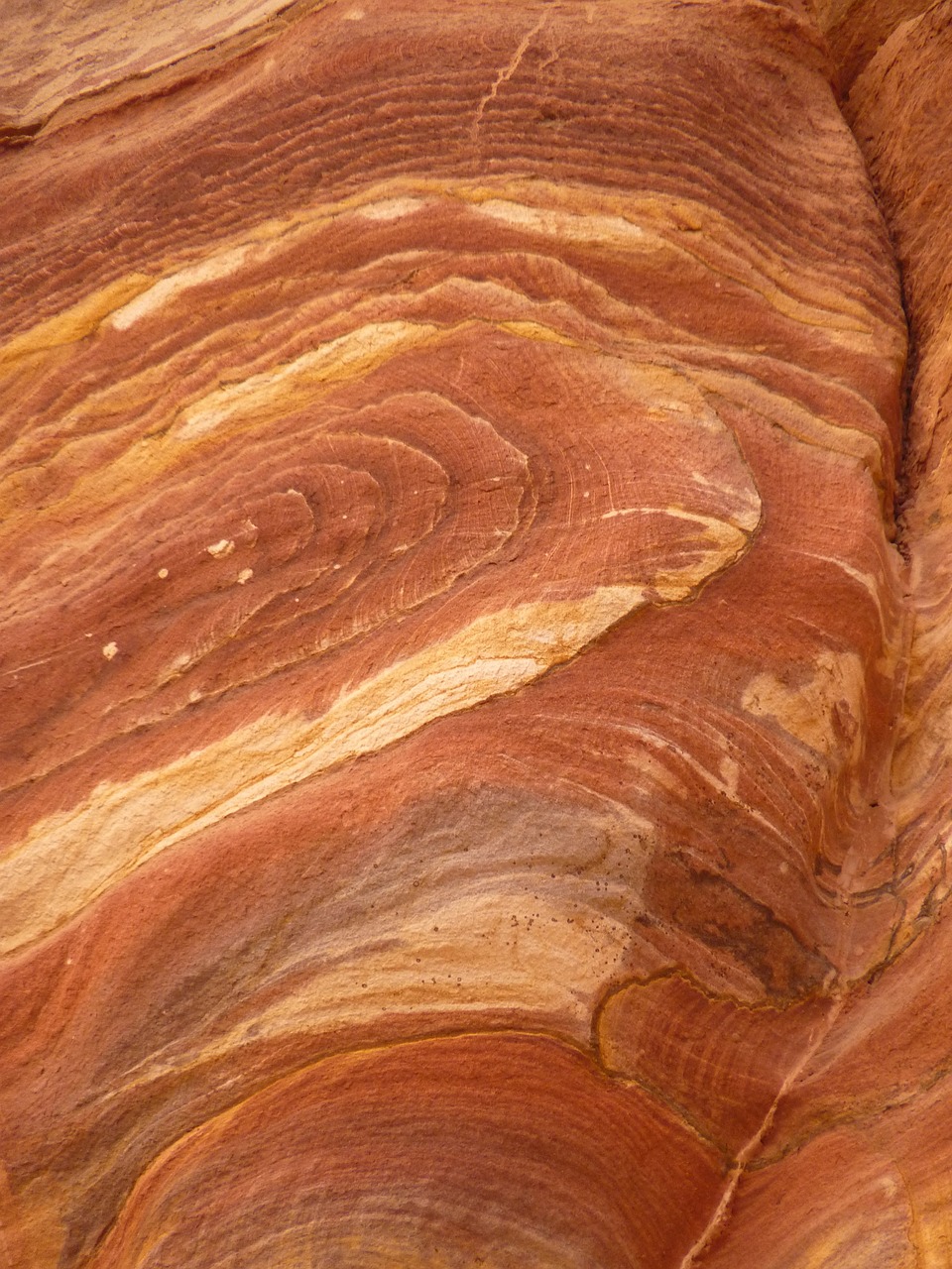 a bird sitting on top of a rock formation, an ultrafine detailed painting, inspired by Albert Namatjira, shutterstock, wood grain, sand swirling, high angle close up shot, reddish