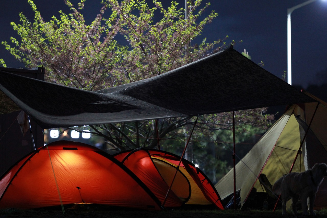 a couple of tents that are in the grass, by Jan Konůpek, sakura season dynamic lighting, canopies, josan gonzales, canopee