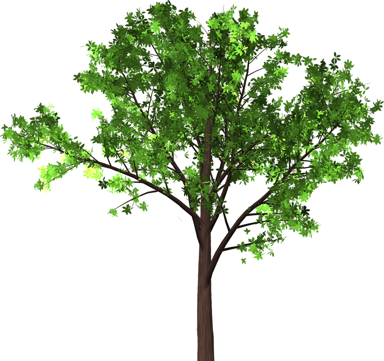 a tree with green leaves on a black background, a raytraced image, random volumetric lighting, trees outside, maple tree, wooden