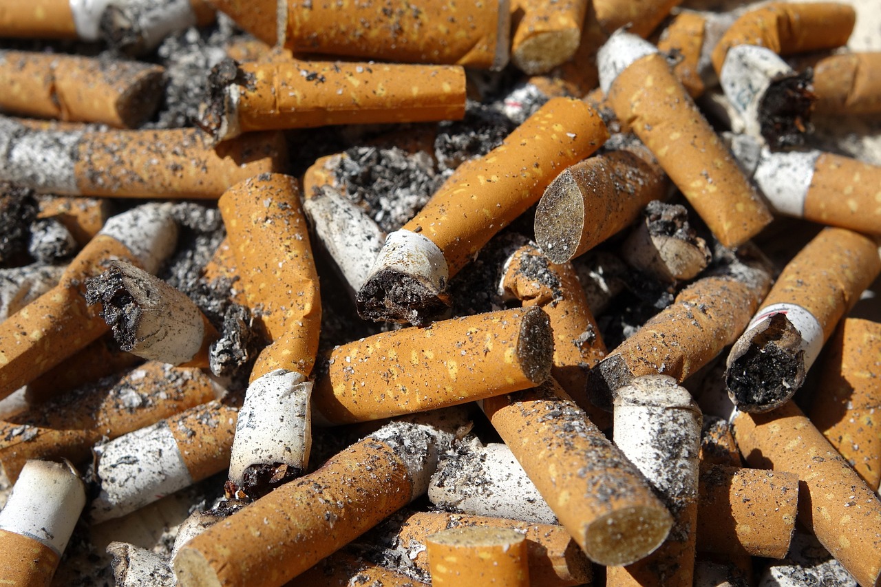 a pile of cigarettes sitting on top of a pile of ash, pixabay, happening, hunter biden smoking crack, 2000s photo, ground covered in maggots, chicago