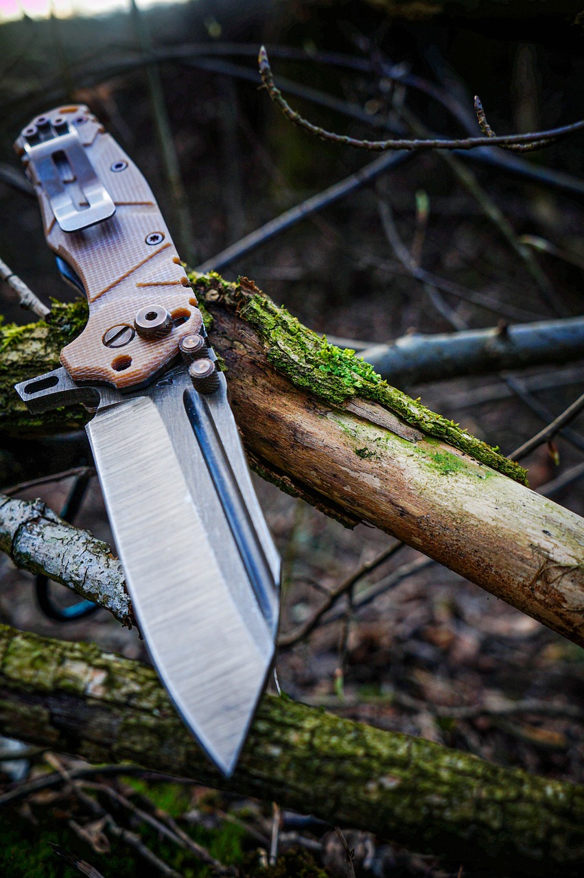 a knife sitting on top of a tree branch, a picture, by Aleksander Gierymski, modern high sharpness photo, tactical knife, ravine, low details