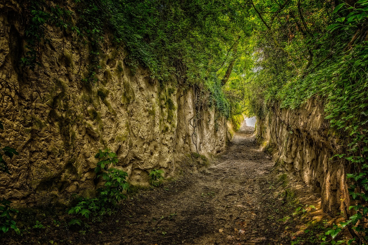 a narrow path in the middle of a forest, a photo, by Edward Corbett, shutterstock, renaissance, natural cave wall, back alley, over a chalk cliff, 2 4 mm iso 8 0 0 color