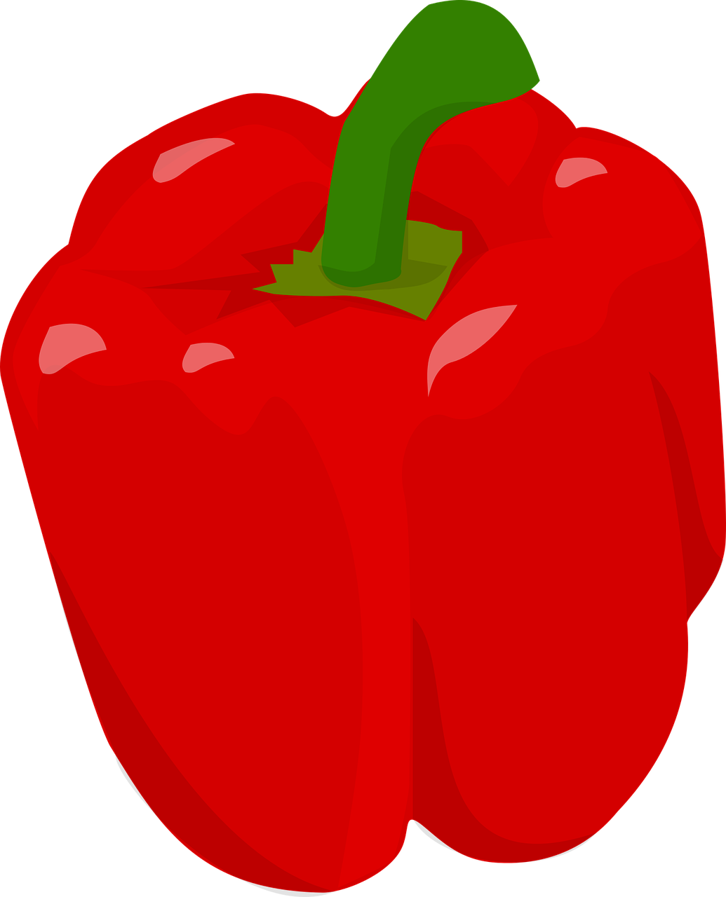 a red pepper with a green stem, inspired by Heinz Anger, pixabay, digital art, !!! very coherent!!! vector art, viewed from far away, black main color, a brightly colored