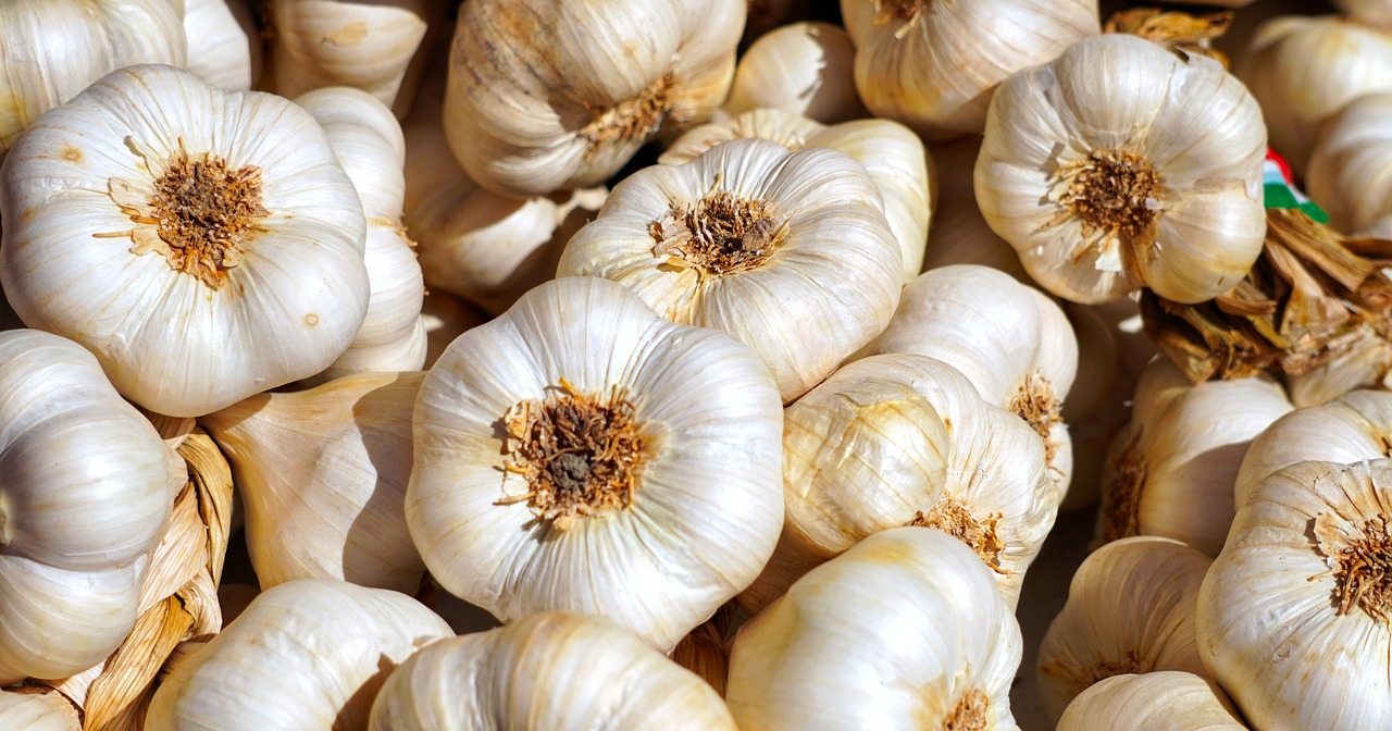 a pile of garlic sitting on top of a table, a macro photograph, pixabay, hurufiyya, with short bobbed white hair, warm sunshine, white spiral horns, glittering and soft