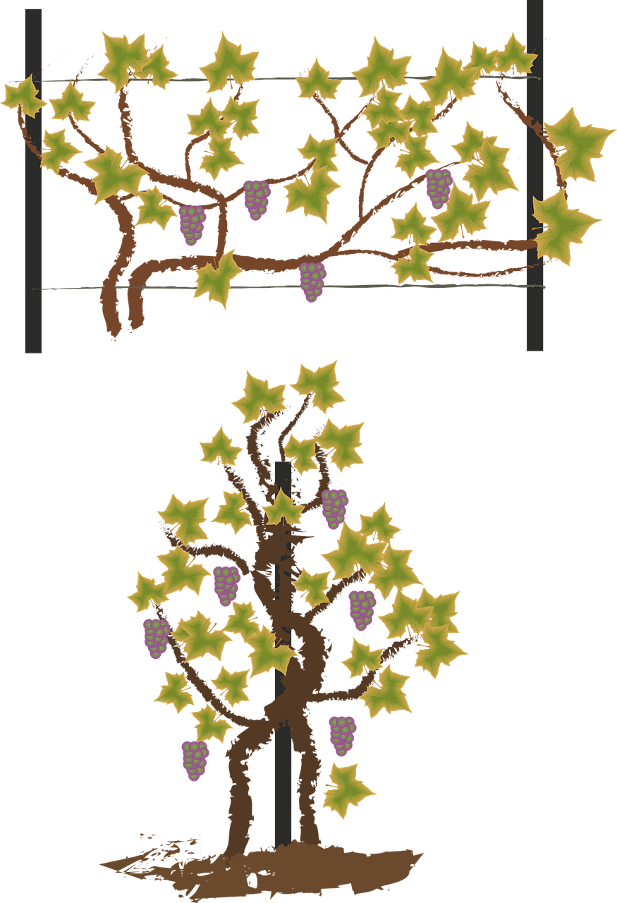 a tree with a bunch of grapes growing on it, concept art, inspired by Masamitsu Ōta, conceptual art, spritesheet, screen cap, clematis design, loosely cropped