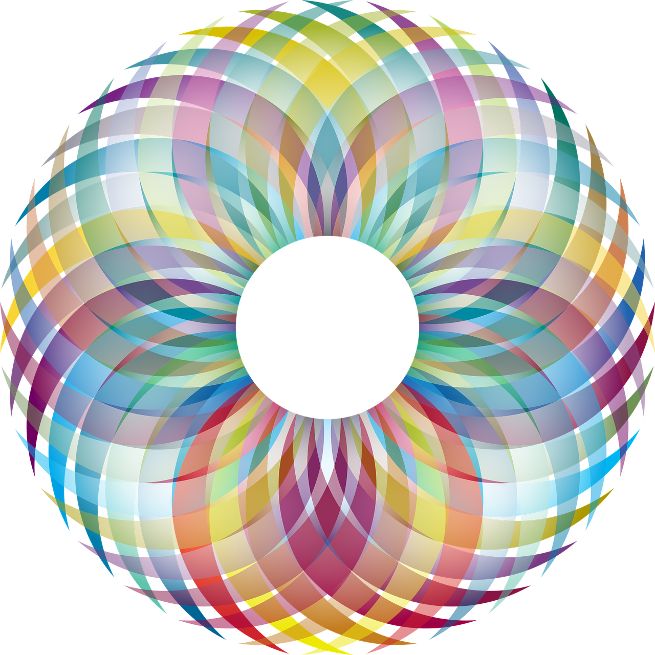 a colorful circular design on a black background, vector art, inspired by Gabriel Dawe, depicting a flower, shaped like torus ring, translucent sphere, full color illustration