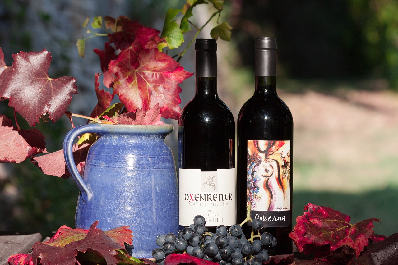 a couple of bottles of wine sitting on top of a table, a portrait, by Jacob Ochtervelt, shutterstock, vanitas, harvest fall vibrance, indigo! and venetian red!, quarter view, outdoor fine photography