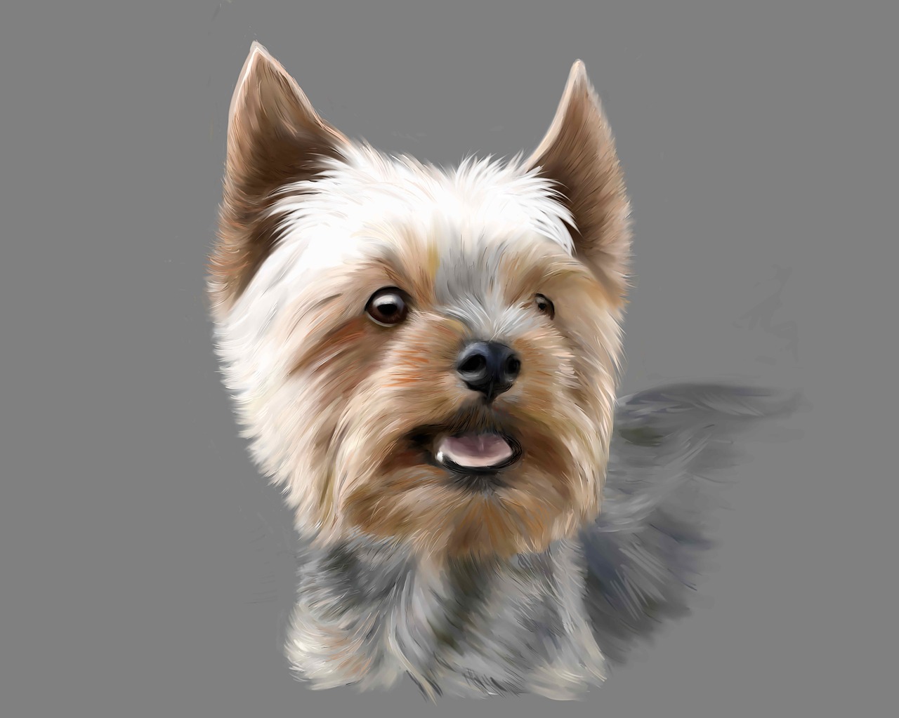 a close up of a dog on a gray background, a digital painting, yorkshire terrier, air brush illustration, sharp high detail illustration