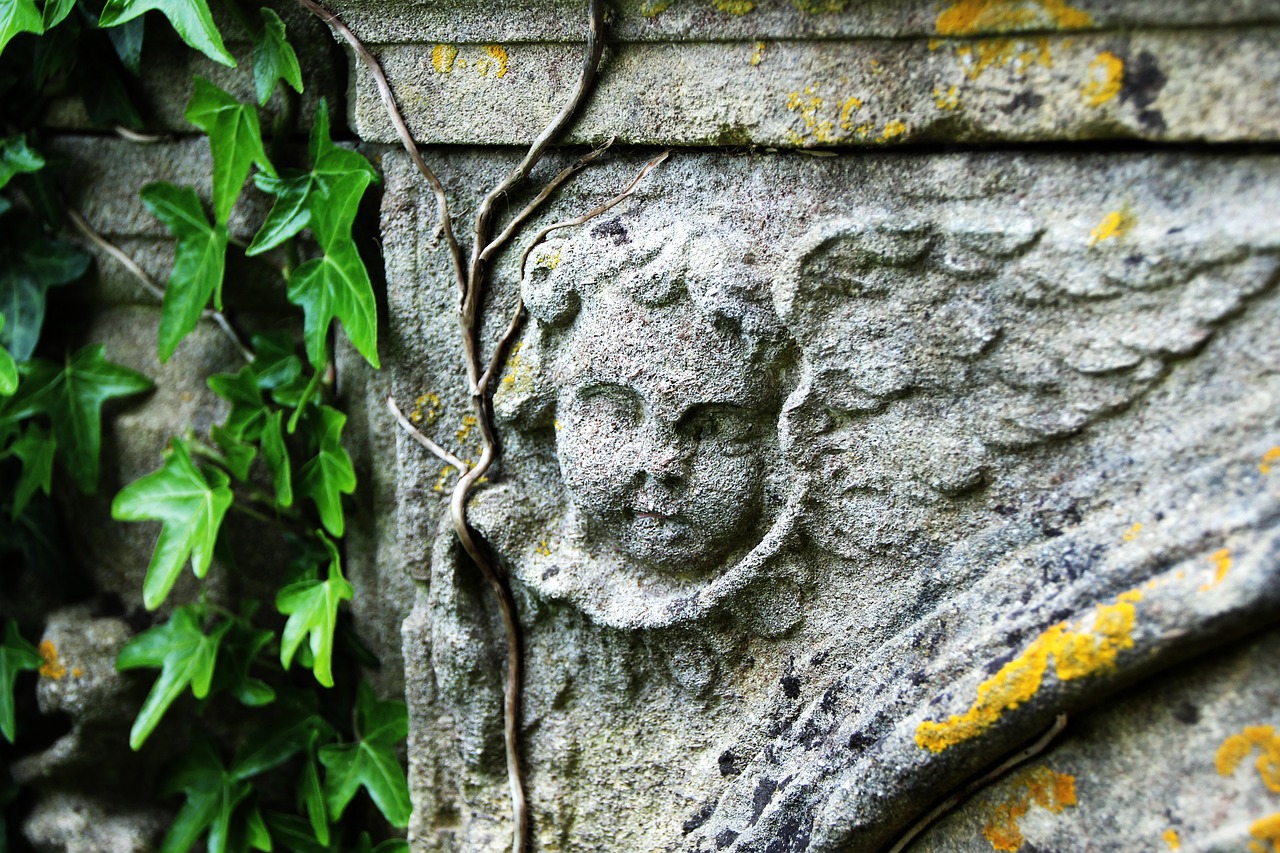 a face carved into the side of a stone wall, inspired by Eleanor Fortescue-Brickdale, trending on pixabay, tattered wings, amongst foliage, close up camera angle, cherub
