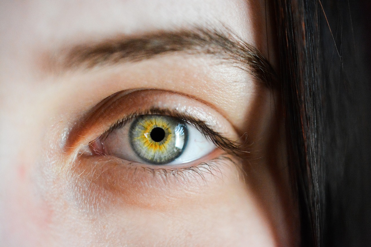 a close up of a woman's green eye, by Anna Haifisch, pexels, yellow eye, light bown iris, looking across the shoulder, white prosthetic eyes