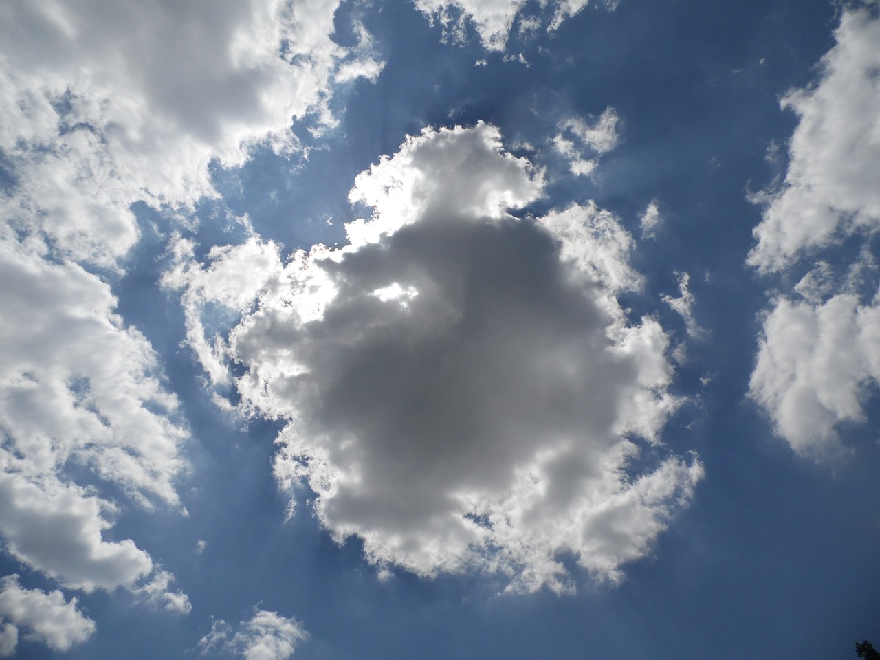 a cloud in the middle of a blue sky, precisionism, sun puddle, truncated snout under visor, looking up onto the sky, shafts of sunlight in the centre