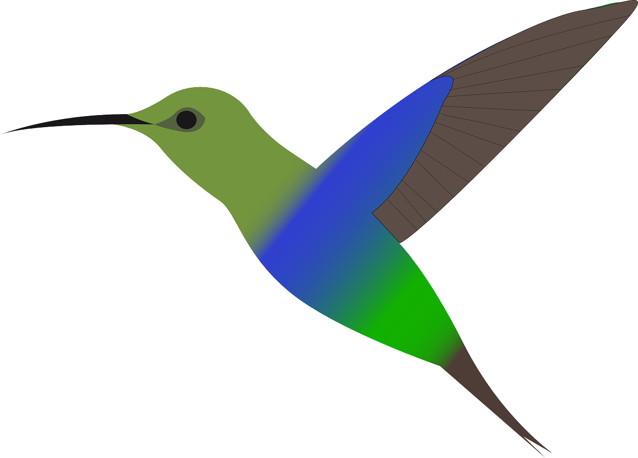 a green and blue hummingbird flying through the air, an illustration of, hurufiyya, colorful illustration, ( side ) profile, tourist photo, lineless