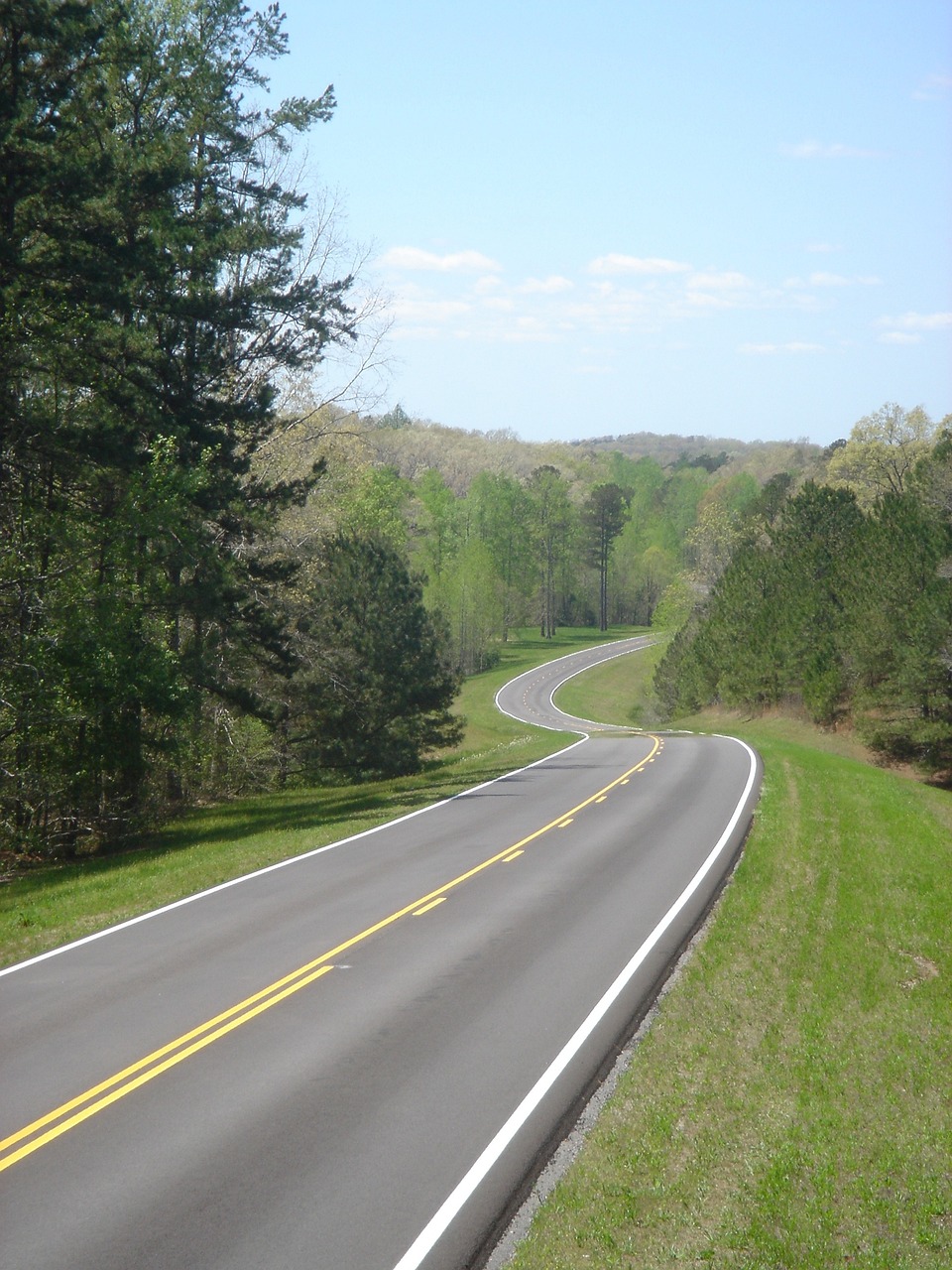 a couple of yellow lines on the side of a road, by Robert Lee Eskridge, flickr, cahaba river alabama, green pastures stretch for miles, serpentine curve!!!, riding on the road