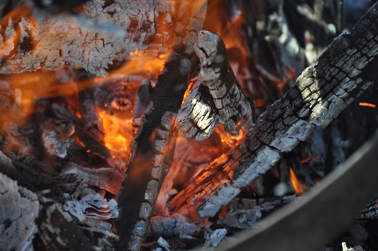 a close up of a fire that is burning, a picture, by Rodney Joseph Burn, auto-destructive art, outdoor campfire pit, warm sunshine, bark, shaded