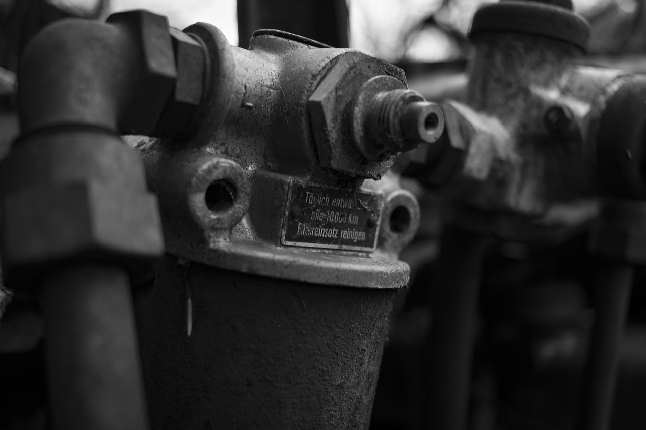 a bunch of fire hydrants sitting next to each other, a portrait, by Thomas Häfner, b & w detailed sharp photo, with vestiges of rusty machinery, depth of field 20mm, 2 4 mm iso 8 0 0
