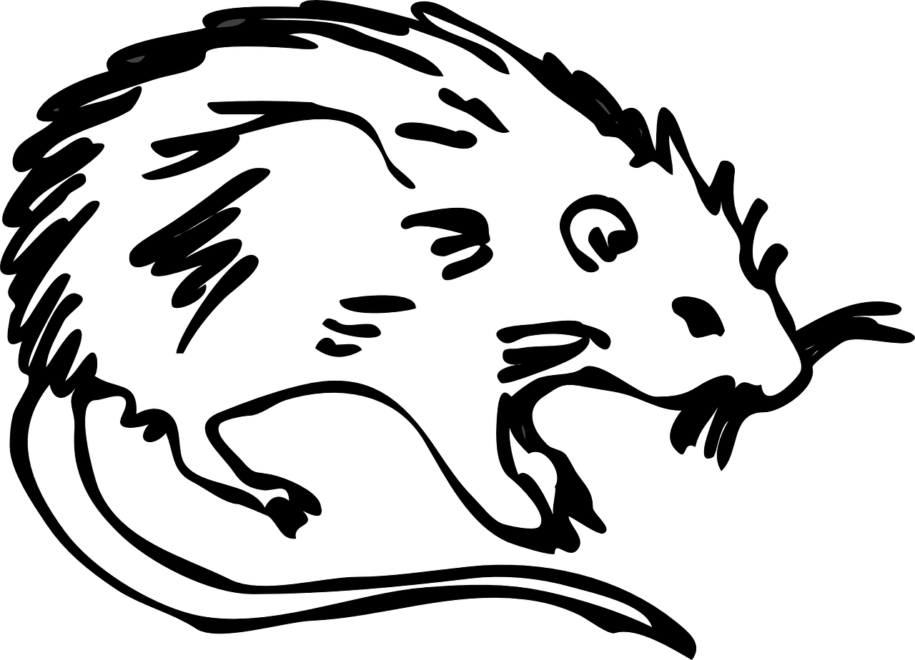 a white possum on a black background, vector art, inspired by Marten Post, reddit, lyco art, giant angry rat, contrast icon, racing, jaguar