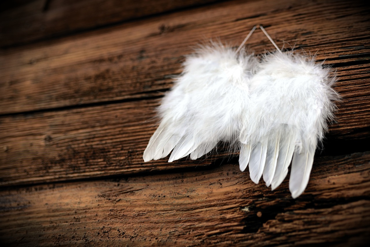 a pair of white feathers sitting on top of a wooden table, by Marie Angel, pexels, hurufiyya, angel with black wings, wallpaper - 1 0 2 4, white ribbon, cupid