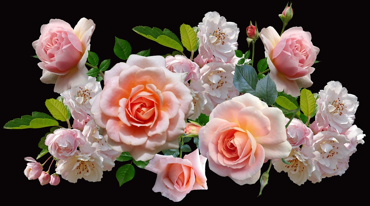 a bouquet of pink and white roses on a black background, a digital rendering, by Carol Bove, trending on pixabay, in shades of peach, setting is bliss wallpaper, rose crown, made of flowers and leaves