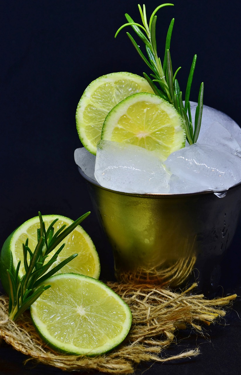 a bowl of ice with lime slices and a sprig of rosemary, a portrait, inspired by Alexander Fedosav, pixabay, renaissance, shiny silver with gold trim, advertising photo, straw, bartending