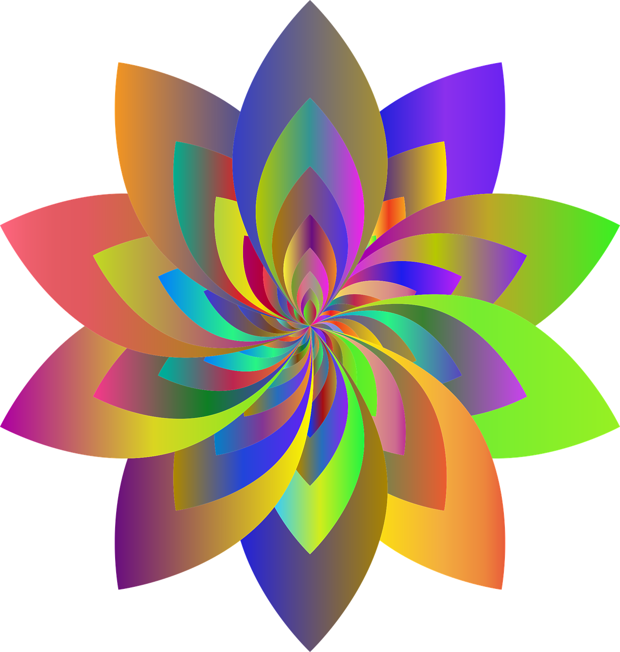 a colorful flower on a black background, a raytraced image, inspired by Alfred Manessier, psychedelic art, lowres, color wheel, with lotus flowers, twirly