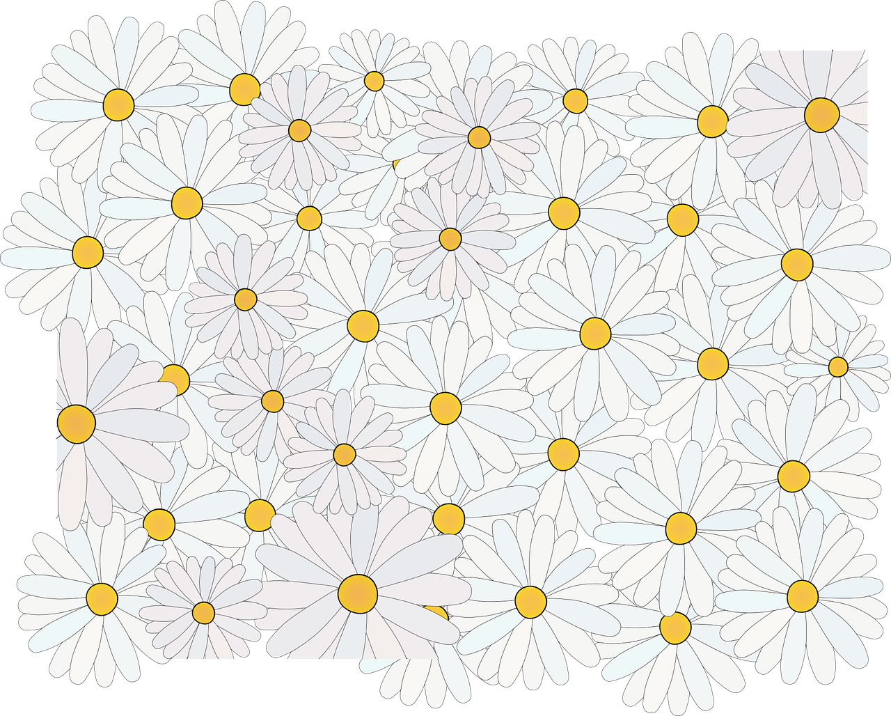 a bunch of white flowers with yellow centers, an illustration of, by Murakami, pixabay, black color on white background, chamomile, full color illustration, pattern with optical illusion