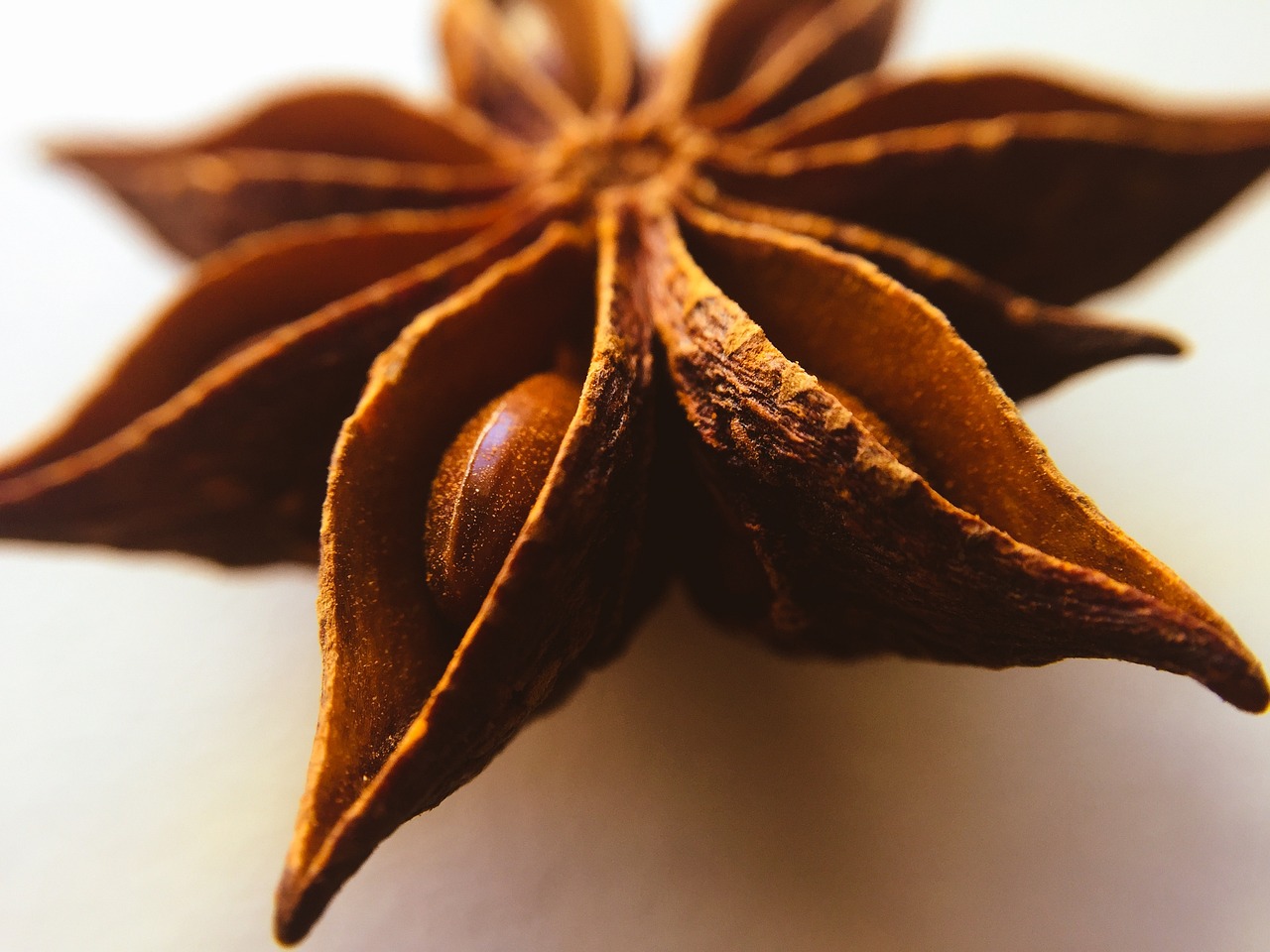 a close up of a star anise on a white surface, a macro photograph, pexels, hurufiyya, brown almond-shaped eyes, profile picture, pentacle, rice