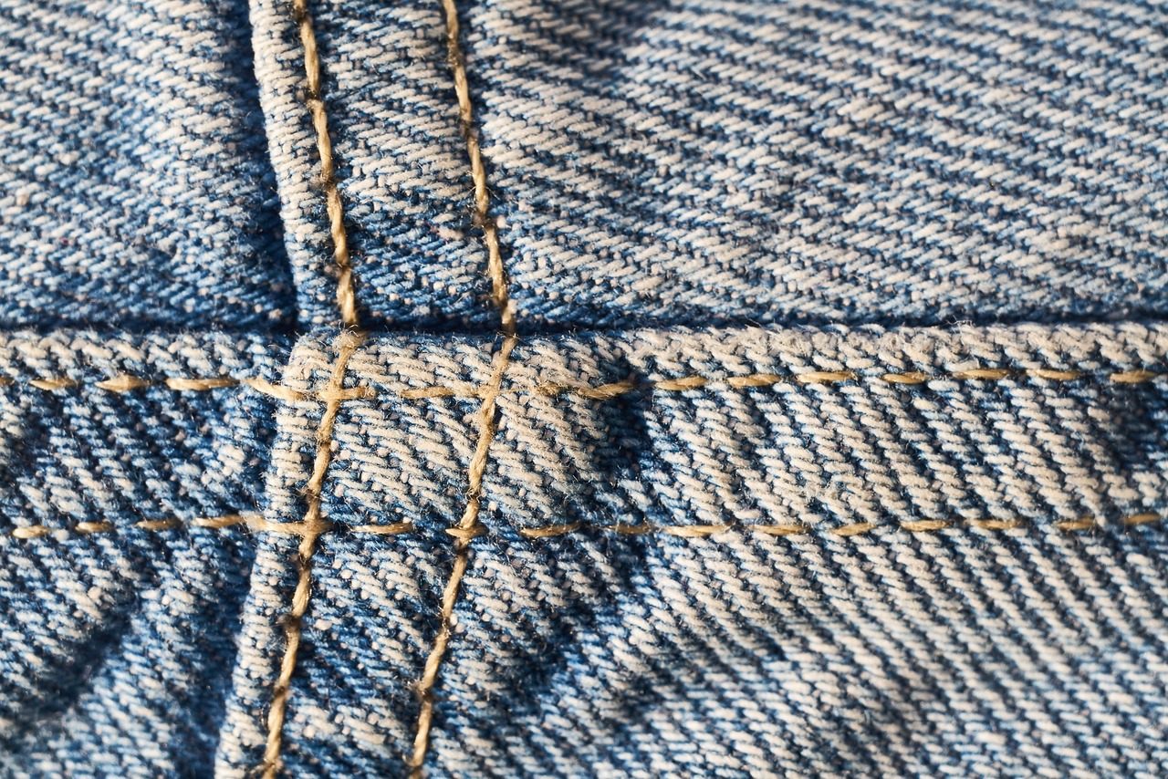 a close up of a pair of blue jeans, a macro photograph, inspired by Saitō Kiyoshi, sōsaku hanga, seams, detailed grid as background, evening sunlight, threads