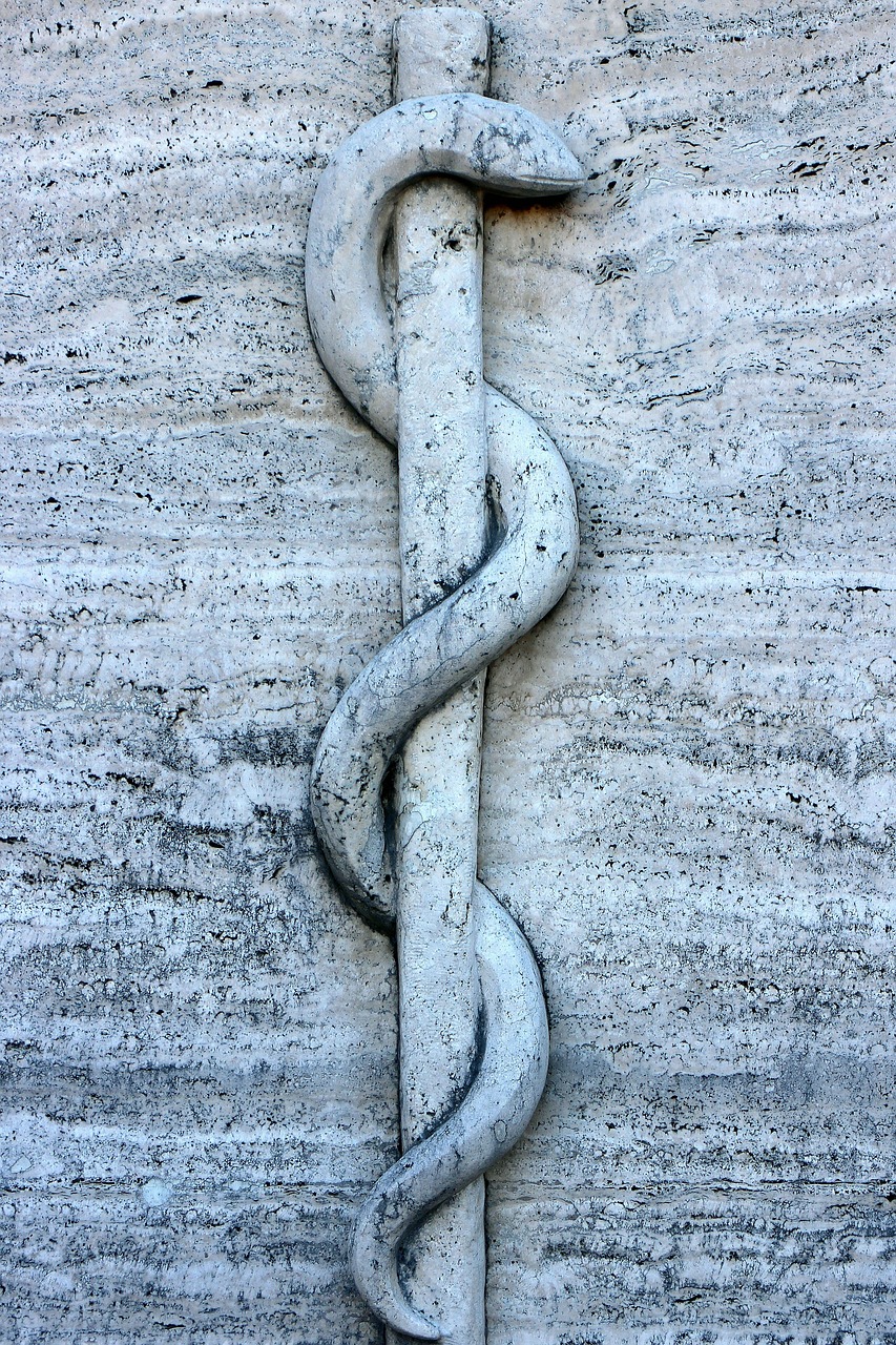 a snake wrapped around a cross on a stone wall, a marble sculpture, inspired by Lucio Fontana, trending on pexels, concrete art, rope, seamless texture, rome, 4 0 9 6