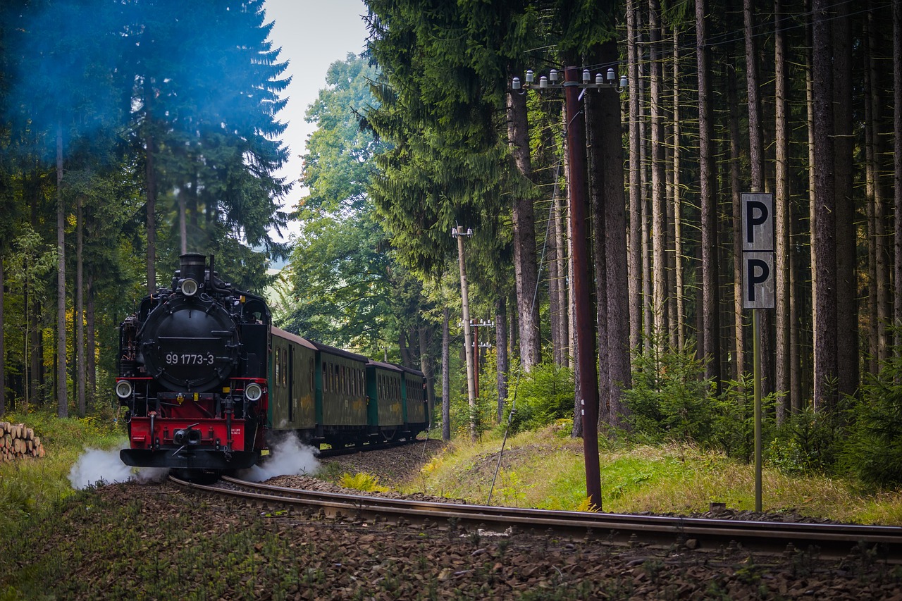 a train traveling through a forest filled with trees, by Luděk Marold, shutterstock, historical setting, photo 85mm, vacation photo, steampank style