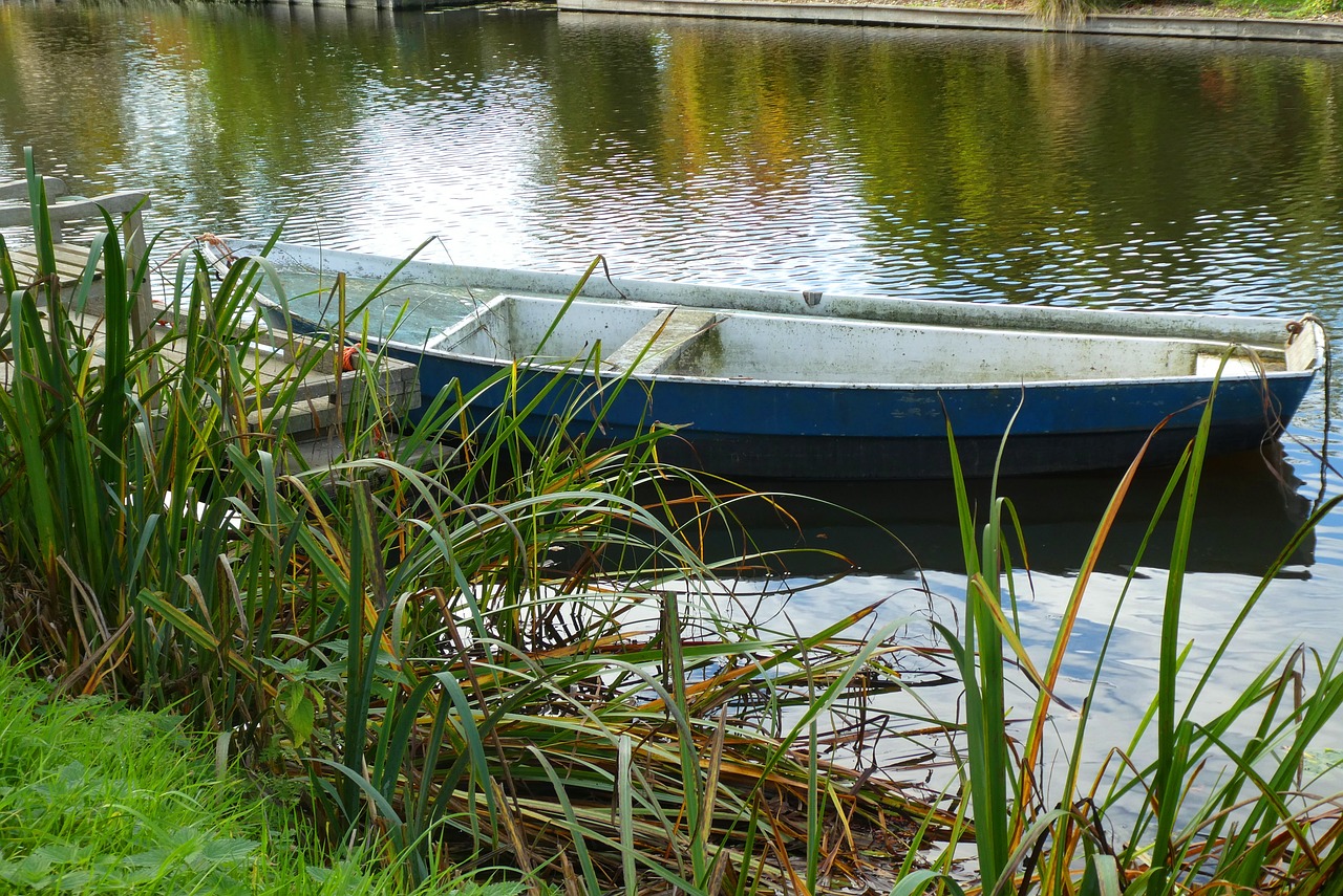 a blue and white boat sitting on top of a lake, a photo, inspired by August Lemmer, flickr, bullrushes, autumnal, ! low contrast!, skiff