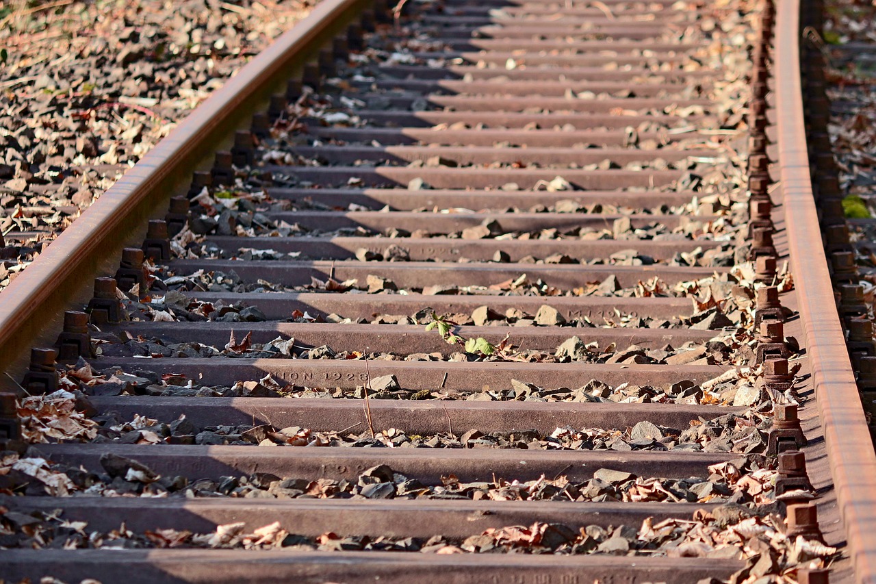 a close up of a train track with leaves on it, a picture, by Richard Carline, pixabay, realism, stock footage