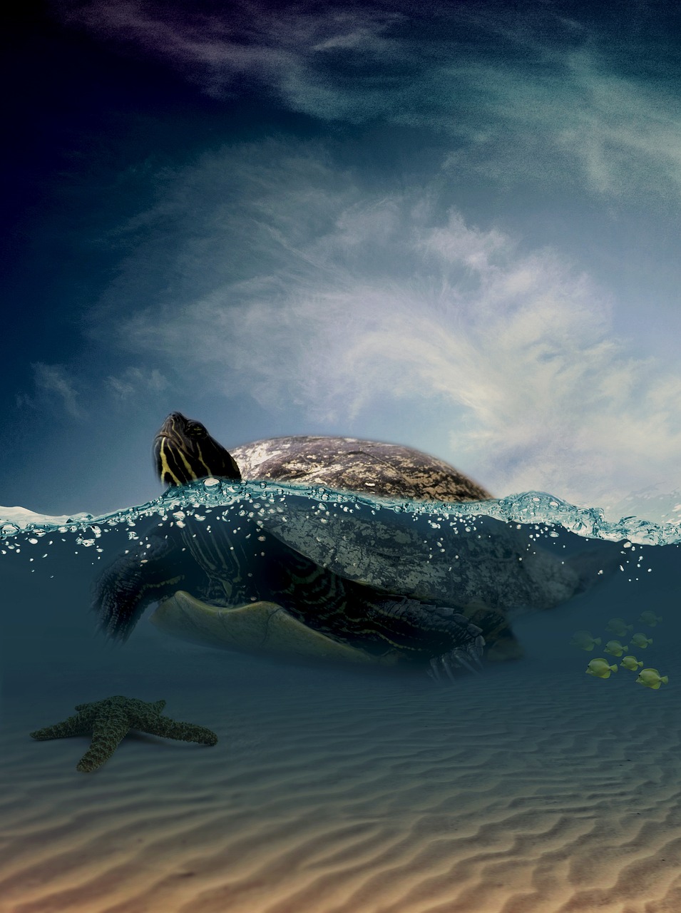 a turtle swimming in the ocean next to a starfish, digital art, by Matt Stewart, digital art, ”ultra realistic, caught in the flow of time, side profile in underwater, focus on giant tortoise
