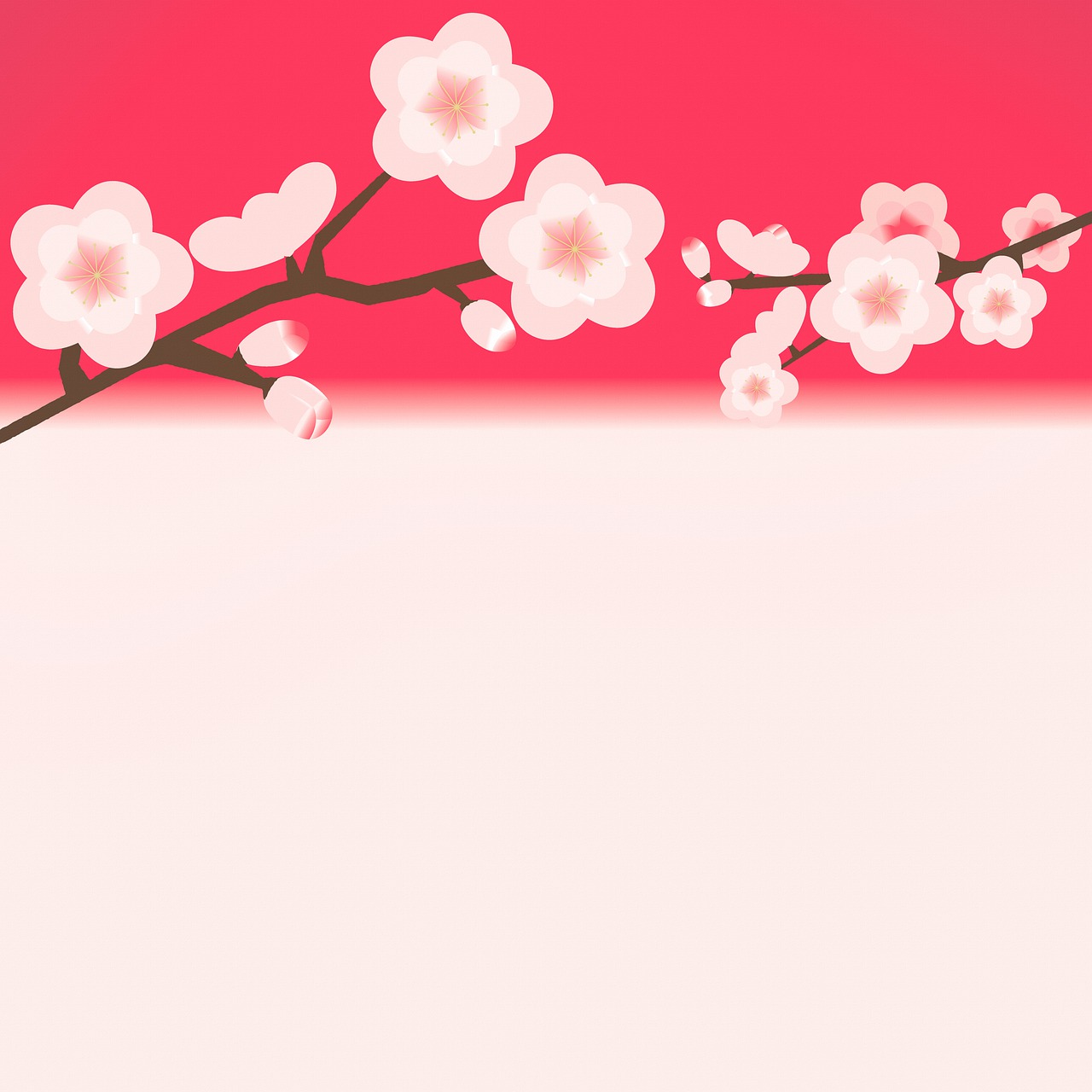 a branch with white flowers against a pink background, a digital painting, inspired by Koson Ohara, sōsaku hanga, gradient white to red, material is!!! plum!!!, with text, march