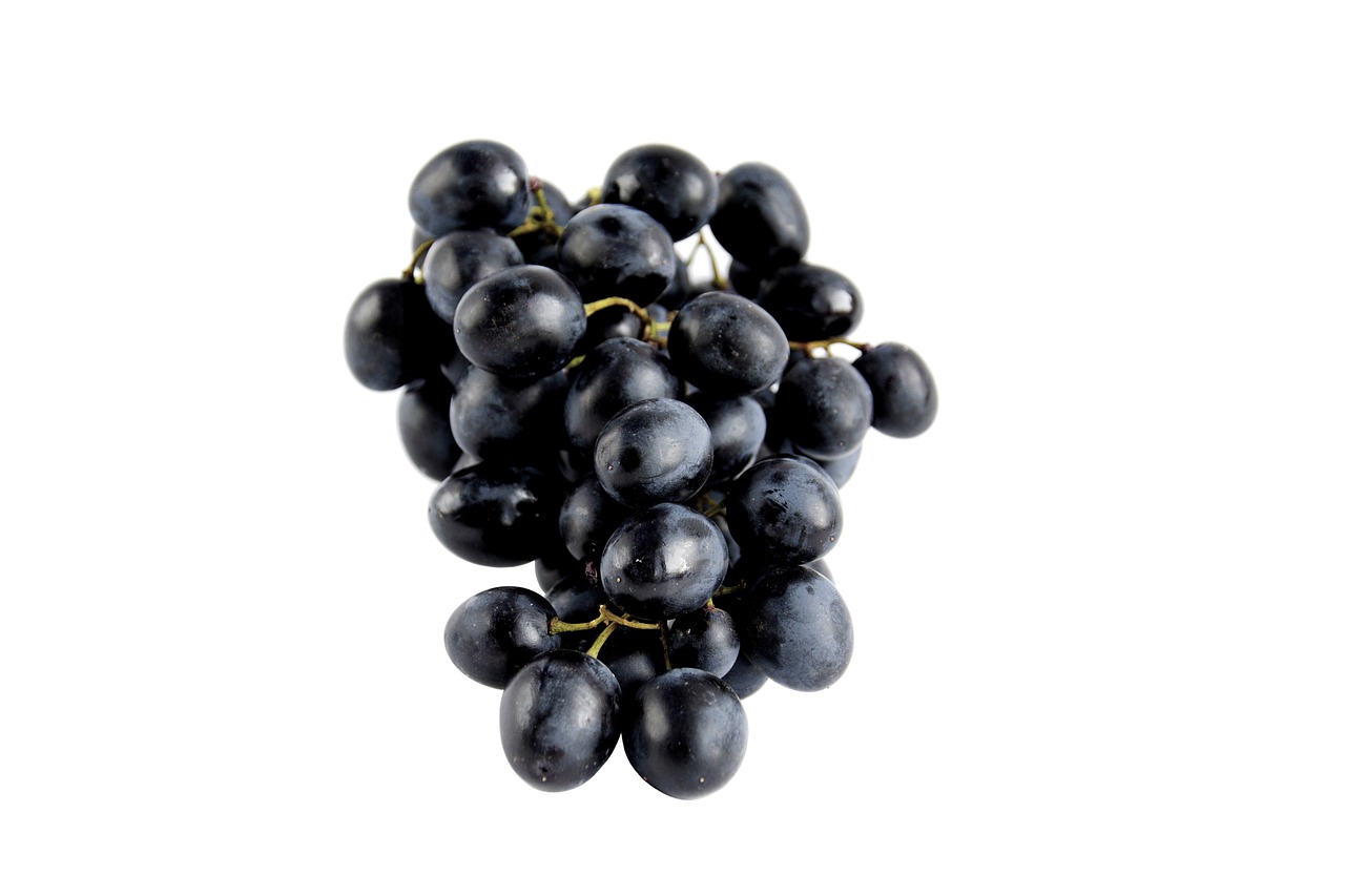 a bunch of black grapes on a white surface, bauhaus, - h 1 0 2 4, hair, smoky